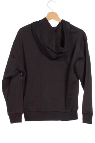 Herren Sweatshirt PUMA, Größe XS, Farbe Schwarz, Preis € 83,99