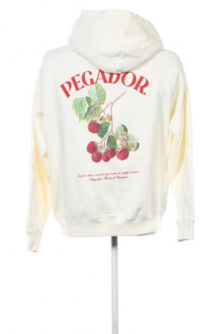 Herren Sweatshirt Pegador, Größe S, Farbe Ecru, Preis € 50,99