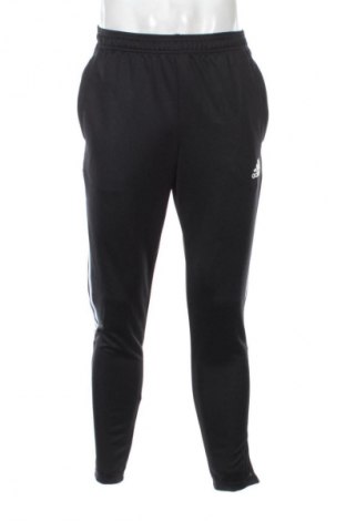 Herren Sporthose Adidas, Größe M, Farbe Schwarz, Preis € 27,99
