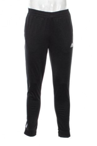 Herren Sporthose Adidas, Größe M, Farbe Schwarz, Preis € 72,99