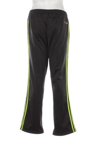 Herren Sporthose Adidas, Größe L, Farbe Mehrfarbig, Preis € 28,99