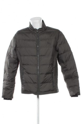 Herrenjacke Camp David, Größe XL, Farbe Grün, Preis € 49,99