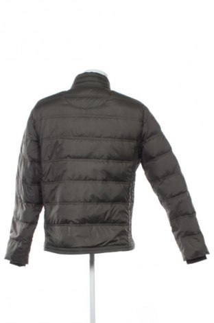 Herrenjacke Camp David, Größe XL, Farbe Grün, Preis € 49,99