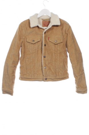 Pánska bunda  Levi's, Veľkosť S, Farba Hnedá, Cena  68,95 €