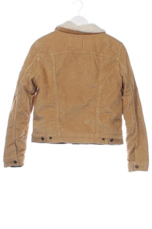 Pánska bunda  Levi's, Veľkosť S, Farba Hnedá, Cena  68,95 €