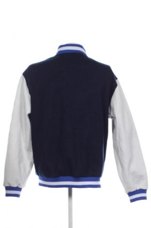 Ανδρικό μπουφάν Unbranded, Μέγεθος L, Χρώμα Πολύχρωμο, Τιμή 13,99 €