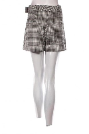 Παντελονόφουστα Stradivarius, Μέγεθος S, Χρώμα Πολύχρωμο, Τιμή 11,99 €