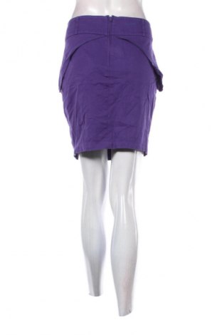 Sukně Dorothy Perkins, Velikost L, Barva Fialová, Cena  391,00 Kč