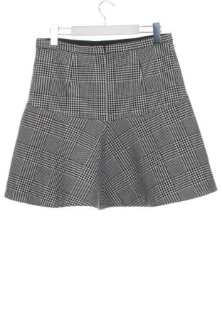 Φούστα Eliane Rose, Μέγεθος L, Χρώμα Πολύχρωμο, Τιμή 5,99 €