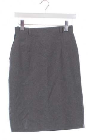 Sukně Unbranded, Velikost XS, Barva Šedá, Cena  283,00 Kč