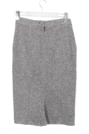 Φούστα Unbranded, Μέγεθος XS, Χρώμα Γκρί, Τιμή 15,88 €