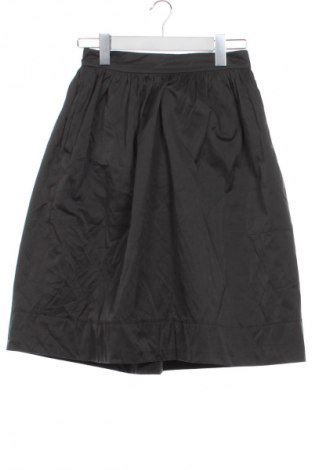 Φούστα Zara, Μέγεθος XS, Χρώμα Γκρί, Τιμή 8,99 €