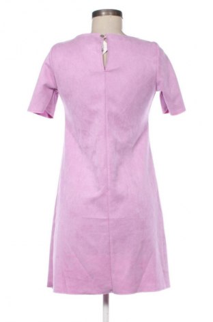 Kleid Alan Red, Größe XS, Farbe Lila, Preis 15,99 €