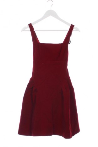 Φόρεμα Cider, Μέγεθος XS, Χρώμα Κόκκινο, Τιμή 10,99 €