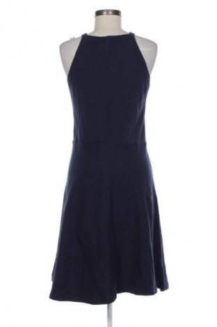 Kleid Esprit, Größe L, Farbe Blau, Preis 16,99 €