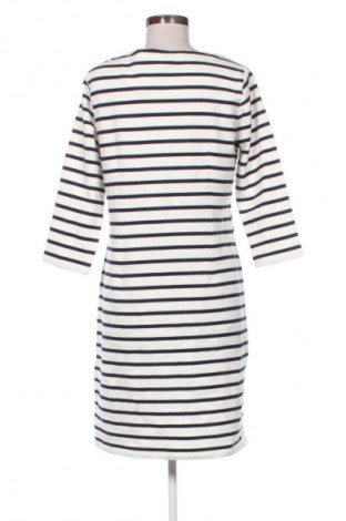Φόρεμα Gant, Μέγεθος L, Χρώμα Πολύχρωμο, Τιμή 41,99 €