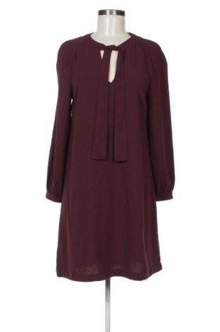 Ruha H&M, Méret M, Szín Lila, Ár 2 609 Ft