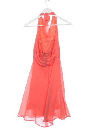 Φόρεμα Marie Lund, Μέγεθος XS, Χρώμα Πορτοκαλί, Τιμή 25,00 €