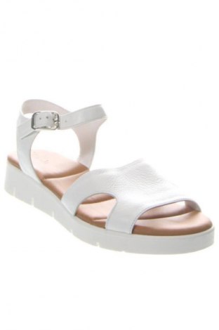 Sandały Bianki, Rozmiar 37, Kolor Biały, Cena 243,70 zł
