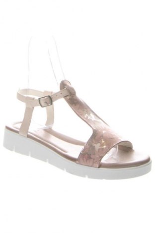 Sandały Bianki, Rozmiar 37, Kolor Kolorowy, Cena 278,64 zł