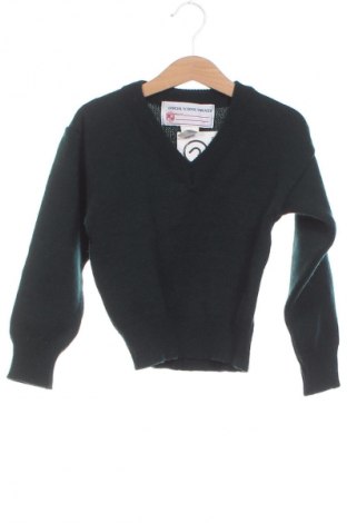 Детски пуловер Unbranded, Размер 3-4y/ 104-110 см, Цвят Зелен, Цена 3,06 €