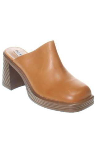 Papuci Steve Madden, Mărime 41, Culoare Maro, Preț 549,99 Lei
