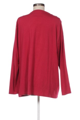 Γυναικεία μπλούζα Bonita, Μέγεθος XL, Χρώμα Ρόζ , Τιμή 10,00 €