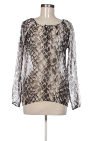 Γυναικεία μπλούζα Chicoree, Μέγεθος S, Χρώμα Πολύχρωμο, Τιμή 9,70 €