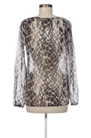 Γυναικεία μπλούζα Chicoree, Μέγεθος S, Χρώμα Πολύχρωμο, Τιμή 9,70 €