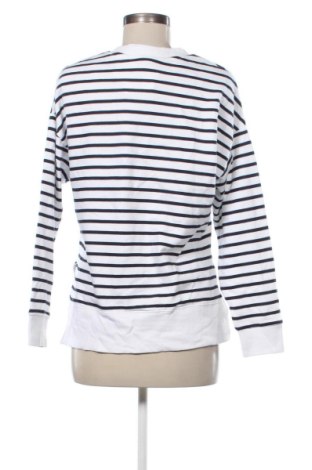 Damen Shirt Decjuba, Größe M, Farbe Mehrfarbig, Preis € 21,99