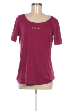 Γυναικεία μπλούζα Esprit, Μέγεθος XXL, Χρώμα Ρόζ , Τιμή 16,99 €