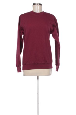 Γυναικεία μπλούζα Fruit Of The Loom, Μέγεθος S, Χρώμα Βιολετί, Τιμή 19,97 €