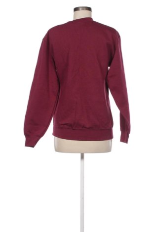 Γυναικεία μπλούζα Fruit Of The Loom, Μέγεθος S, Χρώμα Βιολετί, Τιμή 19,97 €