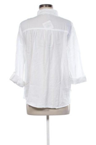 Damen Shirt Hollister, Größe L, Farbe Weiß, Preis € 17,00