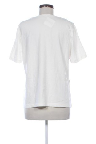 Γυναικεία μπλούζα Samoon, Μέγεθος XL, Χρώμα Πολύχρωμο, Τιμή 16,99 €