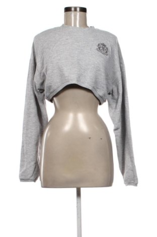 Γυναικεία μπλούζα Sonatina, Μέγεθος S, Χρώμα Γκρί, Τιμή 20,99 €