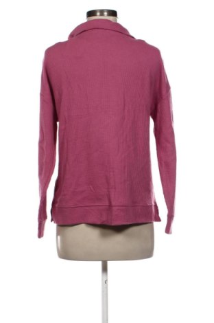 Γυναικεία μπλούζα Suzanne Grae, Μέγεθος XS, Χρώμα Βιολετί, Τιμή 8,99 €