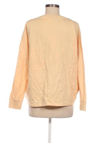 Dámská halenka Unbranded, Velikost L, Barva Oranžová, Cena  129,00 Kč