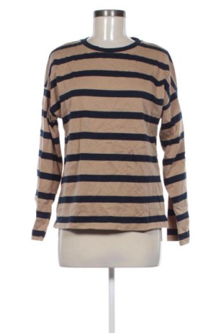 Damen Shirt Zara, Größe S, Farbe Mehrfarbig, Preis € 11,99