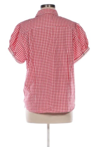 Damska koszula Alpin De Luxe, Rozmiar XL, Kolor Kolorowy, Cena 69,66 zł