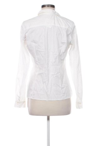 Damenbluse Body Flirt, Größe M, Farbe Weiß, Preis € 6,99