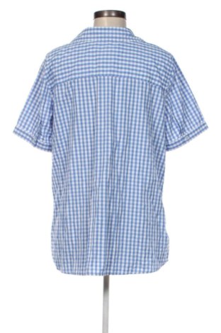 Dámská košile  Collection L, Velikost XL, Barva Vícebarevné, Cena  379,00 Kč