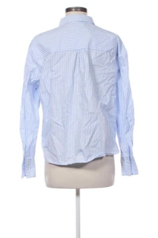 Damenbluse Laura Torelli, Größe M, Farbe Mehrfarbig, Preis € 16,99