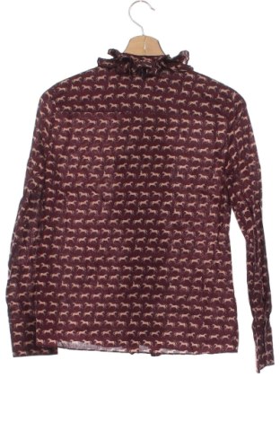 Damska koszula Zara, Rozmiar XS, Kolor Kolorowy, Cena 72,99 zł