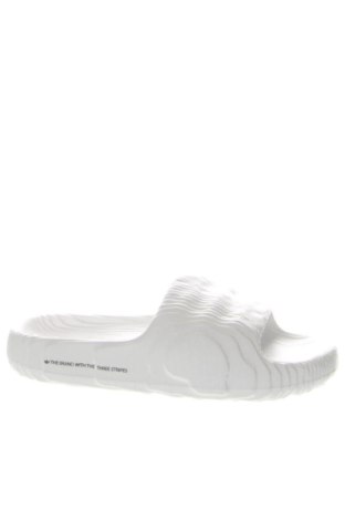 Damenstiefel Steve Madden, Größe 37, Farbe Schwarz, Preis € 144,99