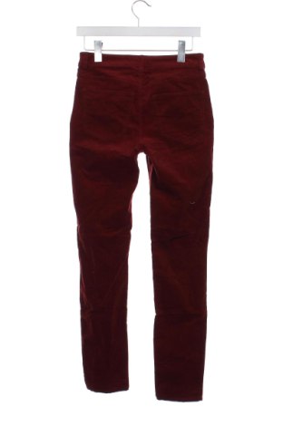 Дамски джинси Sportscraft, Размер M, Цвят Червен, Цена 35,27 €