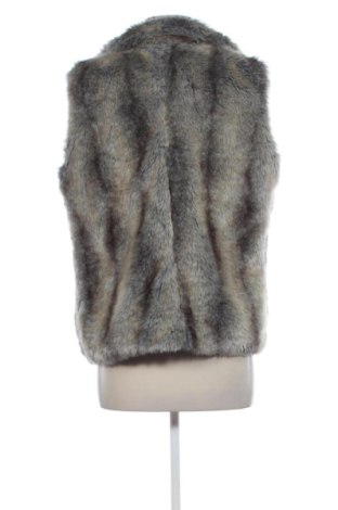 Damenweste Napapijri, Größe M, Farbe Mehrfarbig, Preis € 59,99