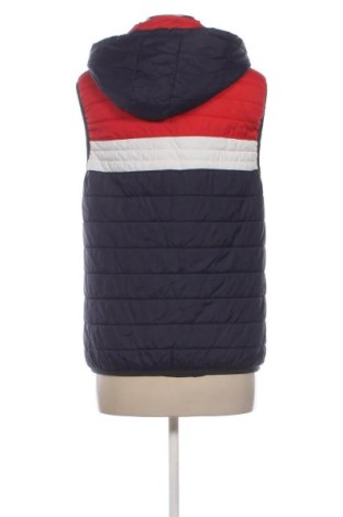 Vestă de femei Unbranded, Mărime L, Culoare Multicolor, Preț 128,00 Lei