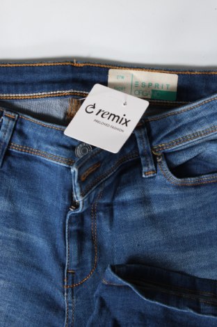 Damen Shorts Esprit, Größe M, Farbe Blau, Preis € 9,99