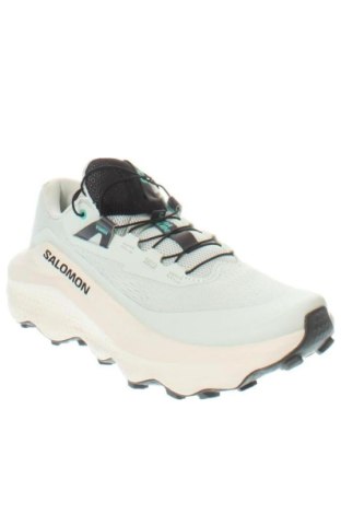 Obuwie damskie Salomon, Rozmiar 38, Kolor Zielony, Cena 674,99 zł